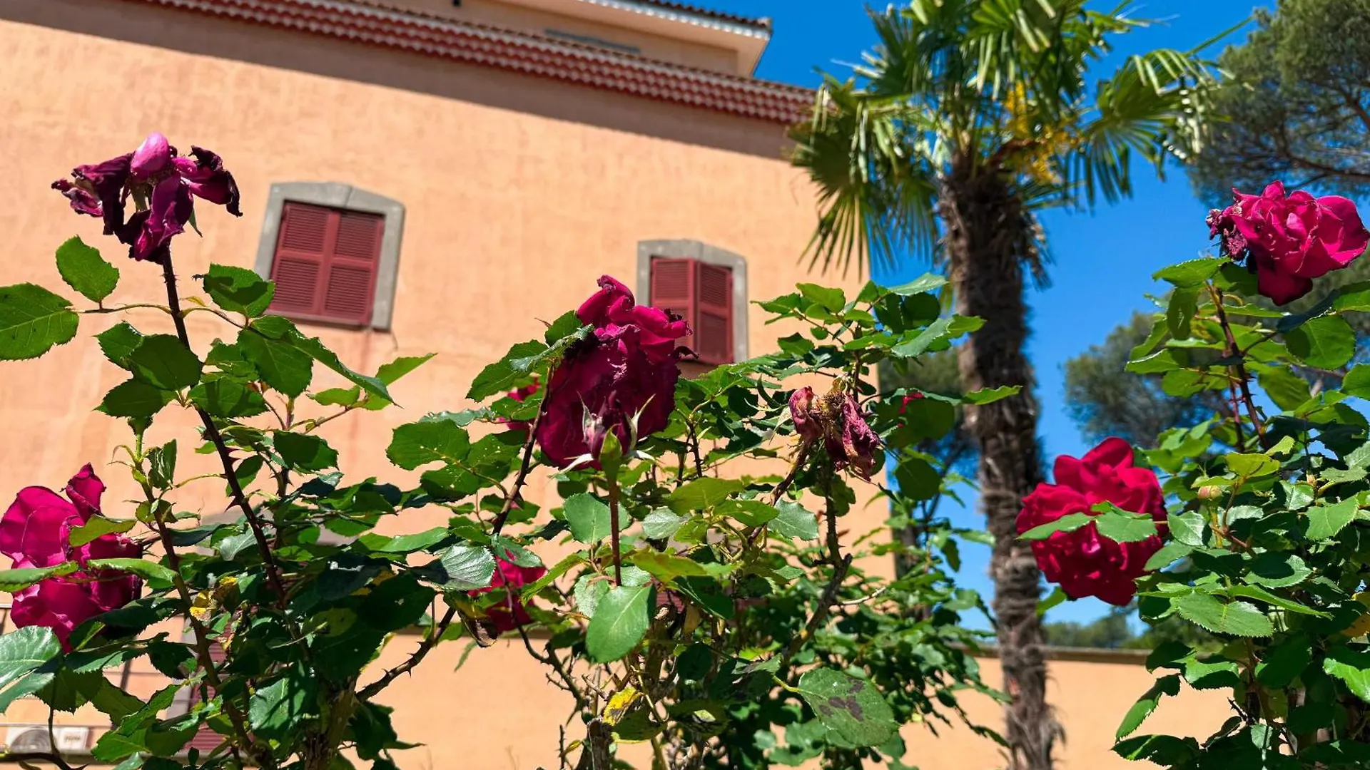 Hotel Villa Due Leoni - Casa Per Turismo Cattolico Rome Italy